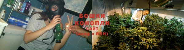 скорость Белокуриха