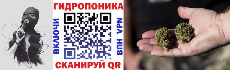 Канабис Bruce Banner Гусев